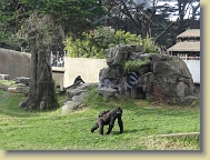 Zoo-Dec2013 (19) * 4896 x 3672 * (6.83MB)
